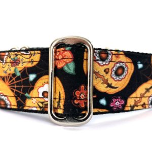Halloween collars Pumpkin patch