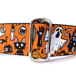 Halloween collars  Trick or treat