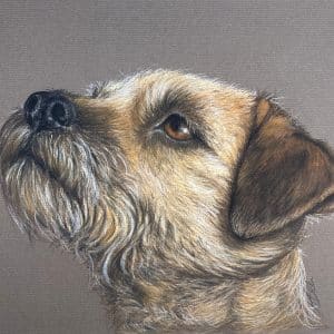 Faithfull Friend Border Terrier Original pastel drawing