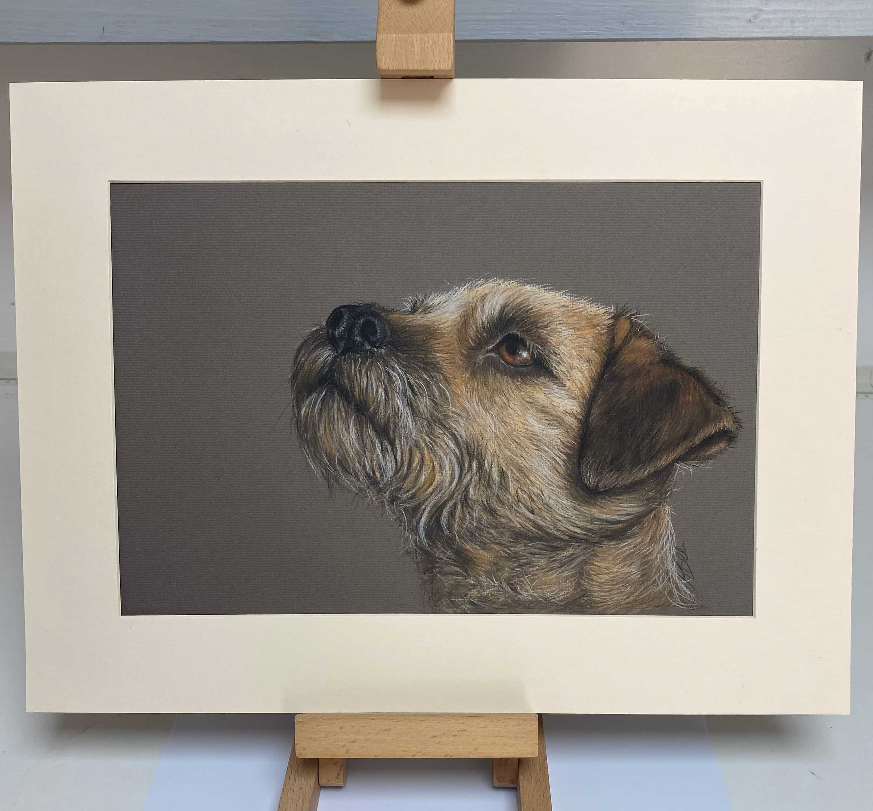 Faithfull Friend Border Terrier Original pastel drawing - Image 2