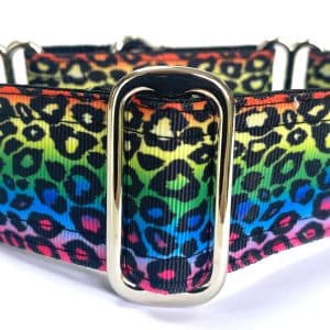 1.5" Rainbow Leopard collar